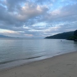 朝だけの短時間釣行でした