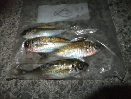 久々のアジング