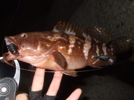 かなり減ったかな