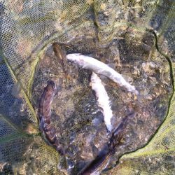 今シーズン初釣行！