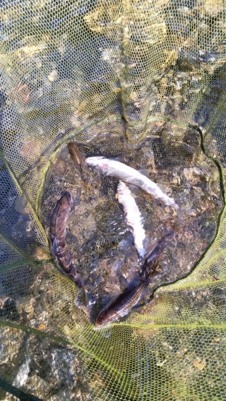 今シーズン初釣行！