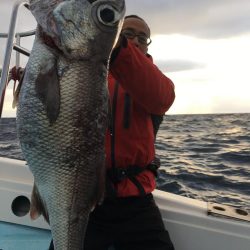 アブラボウズ アコウダイ ライトタックル 中深海 駿河湾 大宝丸