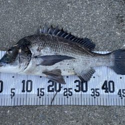 イチノ兄弟、釣果！