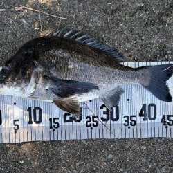 イチノ兄弟、釣果!