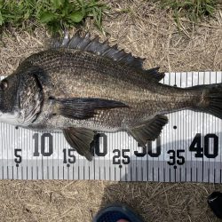 イチノ兄弟、釣果!