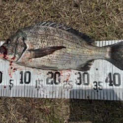 イチノ兄弟、釣果!