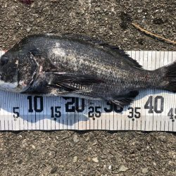 イチノ兄弟、釣果！