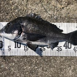 イチノ兄弟、釣果!