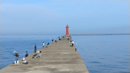 播磨新島のキス調査