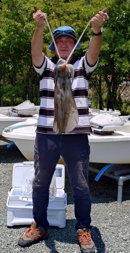 アオリ時々ほぼチビガシラ