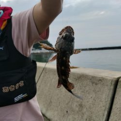 本日も五目釣り