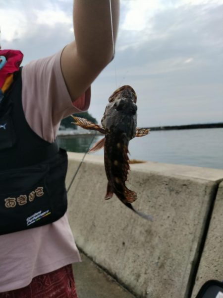 本日も五目釣り