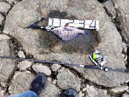 ようやく釣れた。