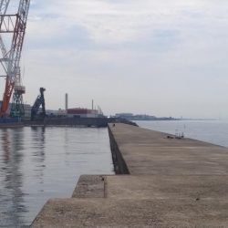 播磨新島のキス情報