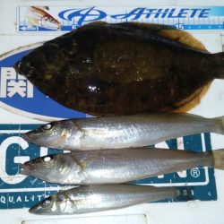 播磨新島のキス調査