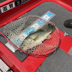 北山田50〜40cm3発