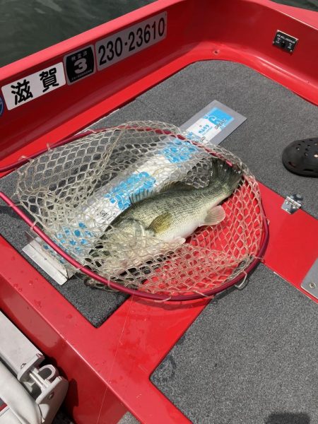 北山田50〜40cm3発