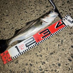 計画休暇初日や