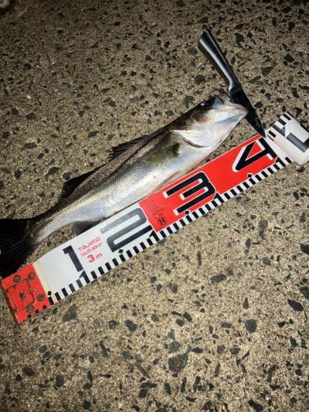 計画休暇初日や