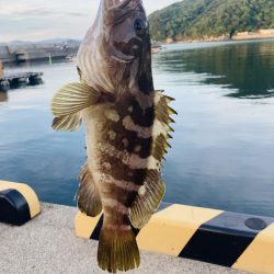 紀州釣りでクエ