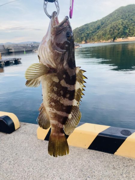 紀州釣りでクエ