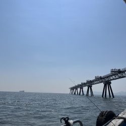 良型アジぼちぼち