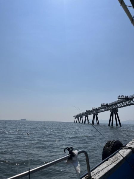 良型アジぼちぼち