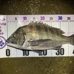 ナイトチニング