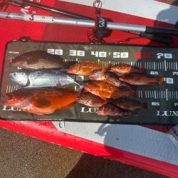 サップフィッシング