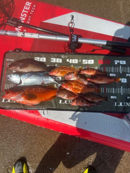 サップフィッシング