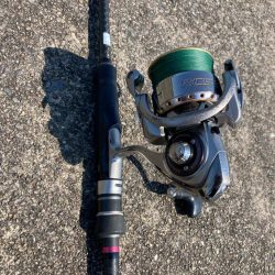 ちょい投げ釣りでキス調査