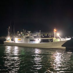 ケンサキイカ/イカメタル・オモリグ