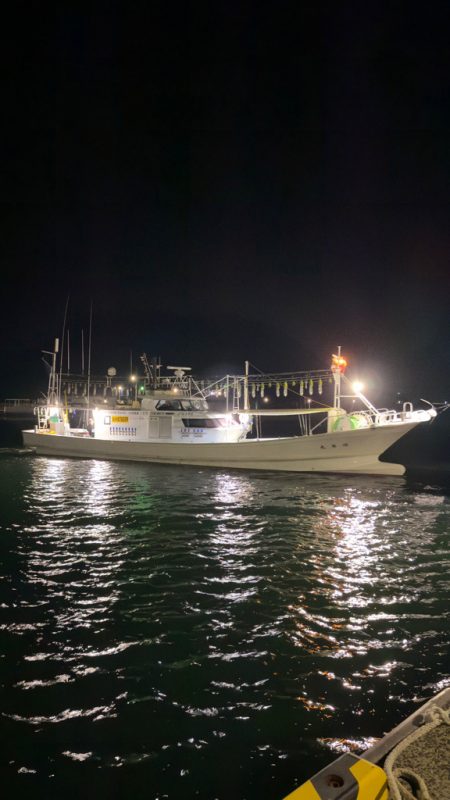 ケンサキイカ/イカメタル・オモリグ