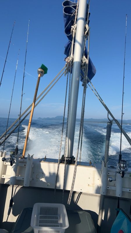 シーズン2回目イカメタル