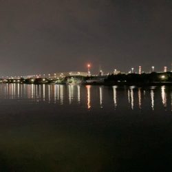 チニング〜デイandナイト