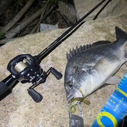 淀川ブリームゲーム