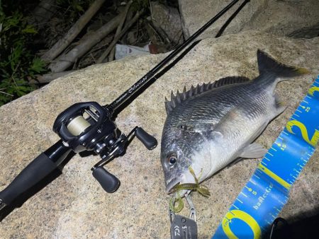 淀川ブリームゲーム