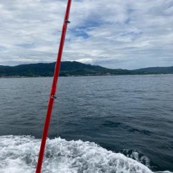 タコ釣りの新しいコツ