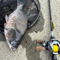 中々の入れ食いただし場所による