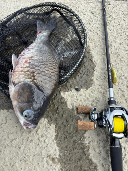 中々の入れ食いただし場所による