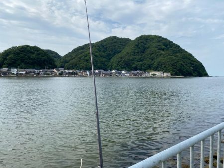 シロギスタのプチ遠征