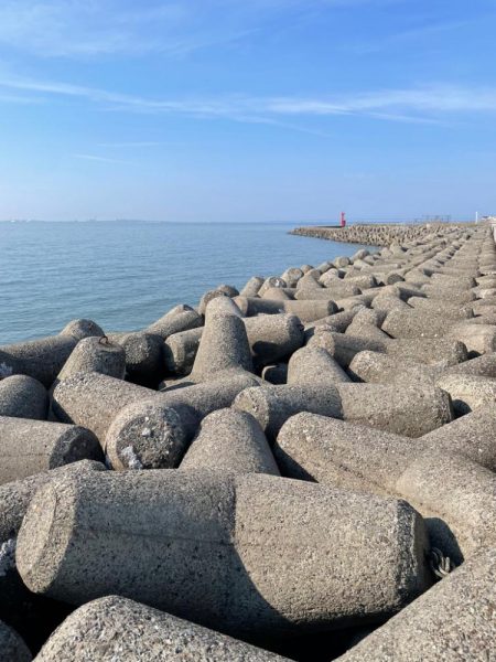 キス釣り　イソメパターンってあるの…か？