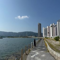 和歌山県毛見にキス釣り