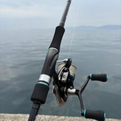 パターン掴めず…