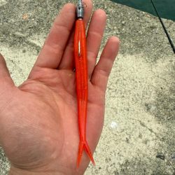 フラットフィッシュ