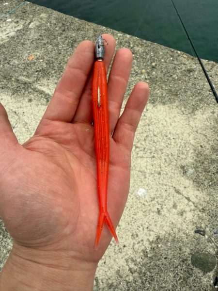 フラットフィッシュ