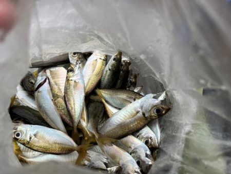 100均アミエビ +で