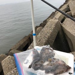 遅いというよりおかしい…