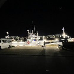 越前沖でイカメタル