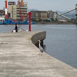 淡路島釣行！